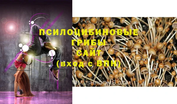 каннабис Баксан